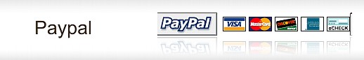 banner_paypal__forma_de_pago